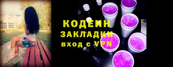 прущий лед Каменка