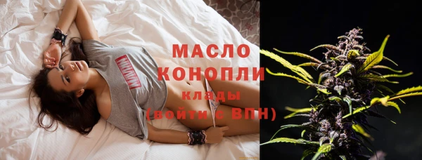 прущий лед Каменка