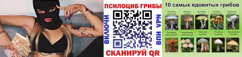 Галлюциногенные грибы Psilocybe  Купить где  Дорогобуж 